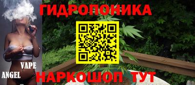 сатива Будённовск