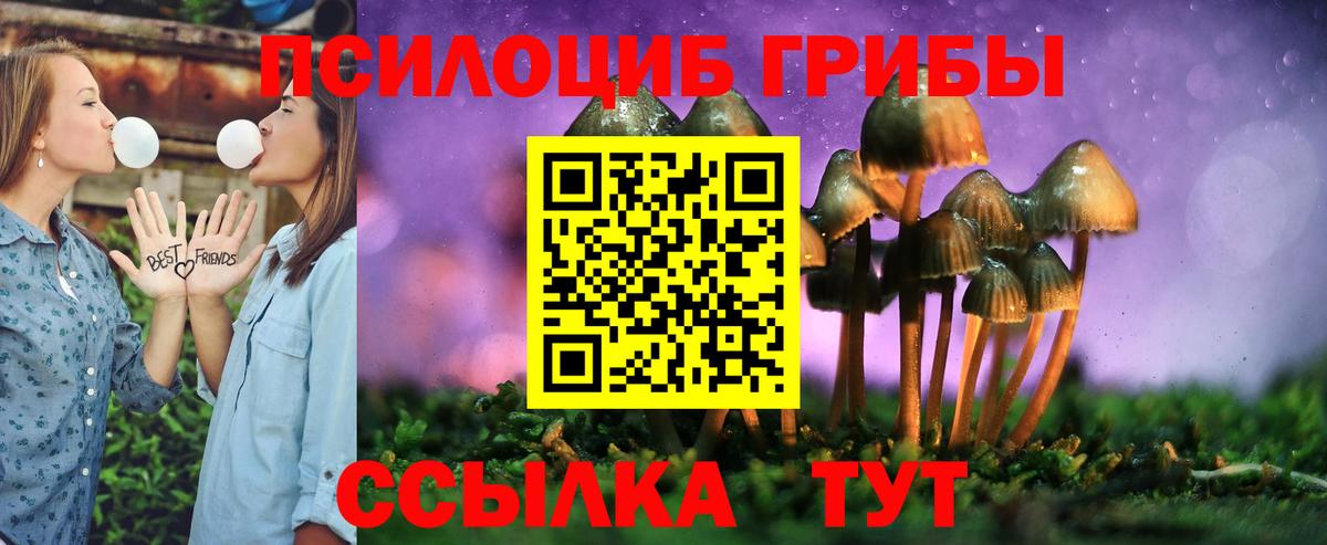 Псилоцибиновые грибы ЛСД Спасск-Дальний