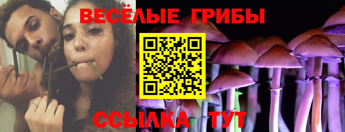 Галлюциногенные грибы Psilocybe  Вход с VPN  купить наркотик  Спасск-Дальний 